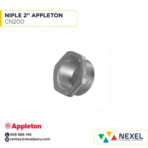 [B53567] NIPLE 2" CN200 APPLETON